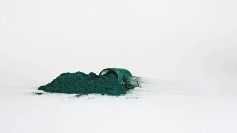 spiruline poudre